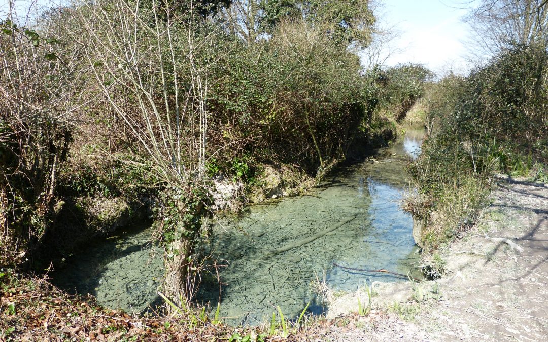 Nine Wells designated as Local Geological Site