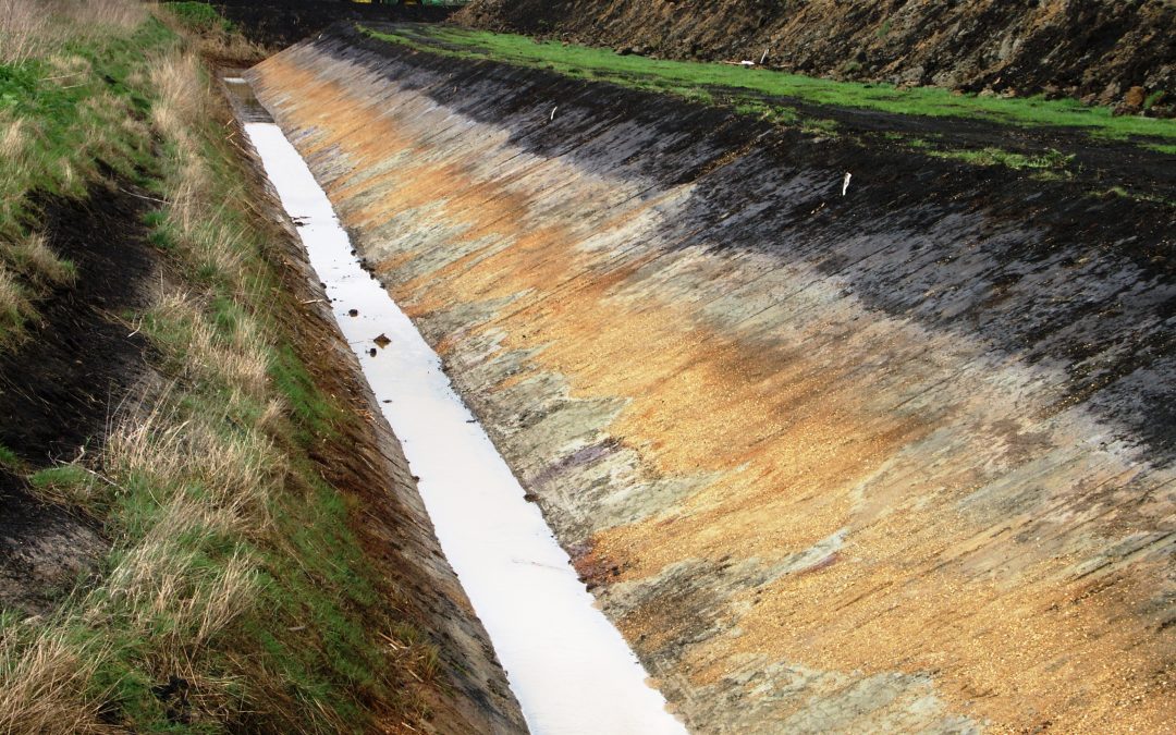 Protecting the landscape heritage of the fens