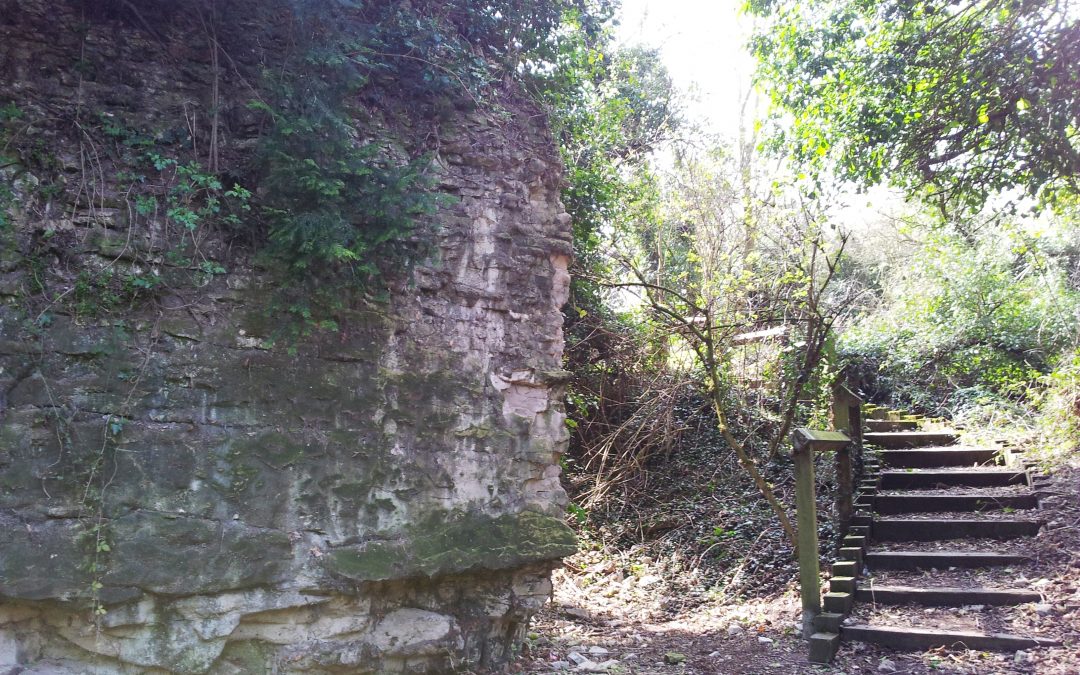 The economic geology of Burwell