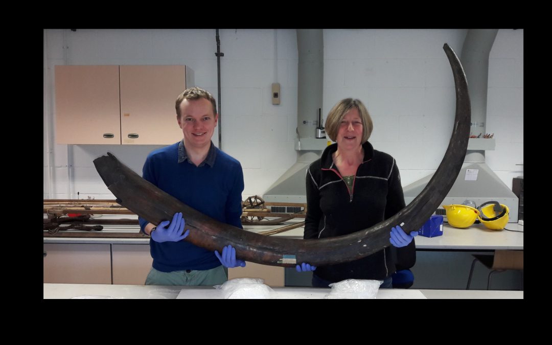 Ice Age display, Sedgwick Museum